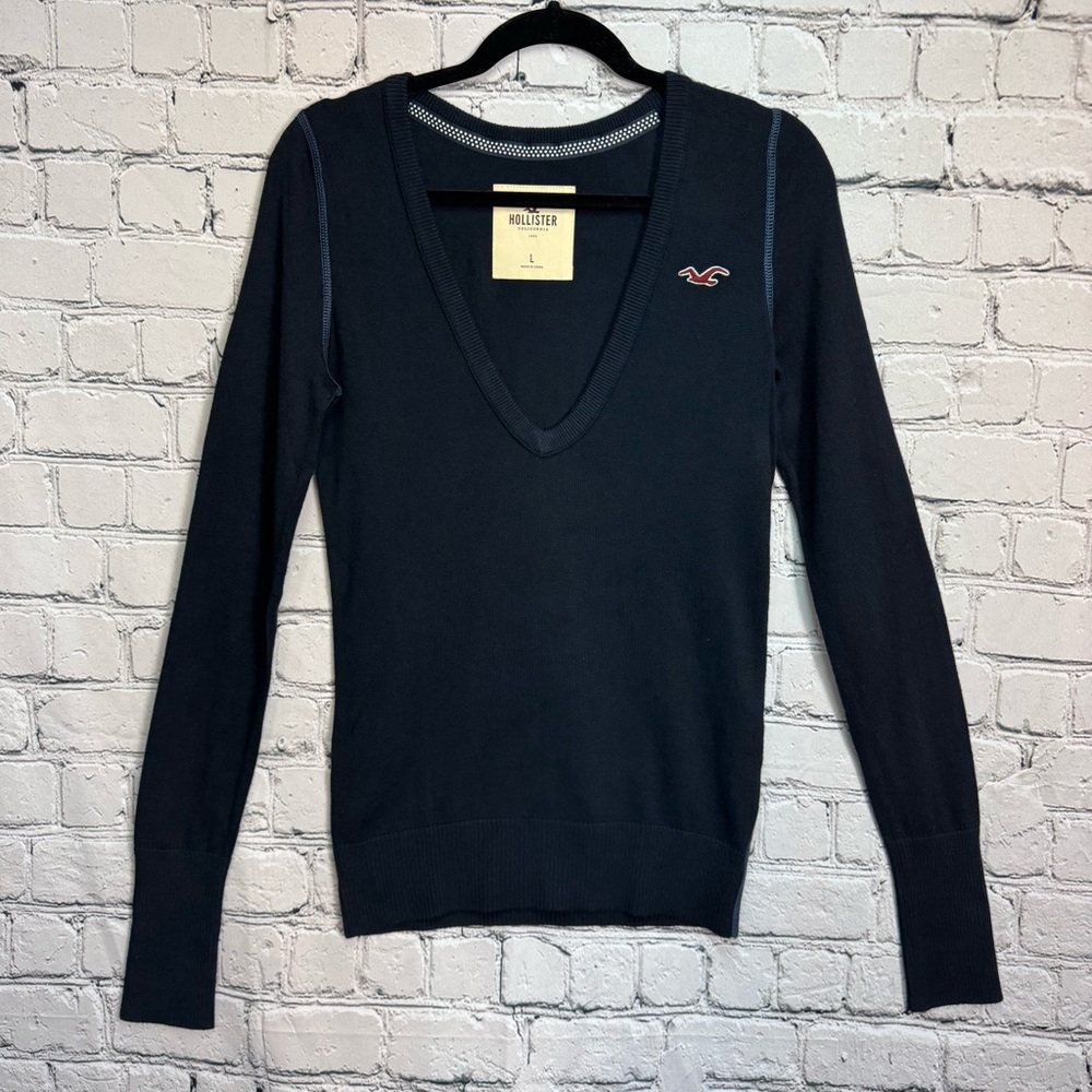 Hollister Navy Blue Long Sleeve Knit Sweater V-Neck Embroidered Bird Logo Sz Lg